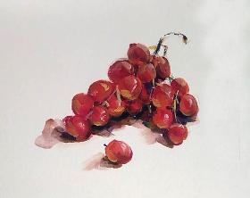 手把手教你怎么画晶莹剔透的葡萄水粉画