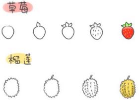 手把手教你怎么画各种水果简笔画