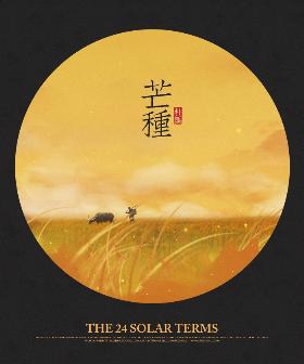 插画师朴缜《二十四节气》作品集——芒种（9）