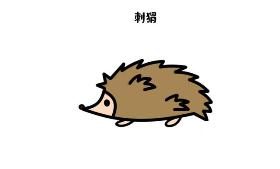 刺猬简笔画 刺猬浑身长满刺，冬天冬眠，还打呼噜哦
