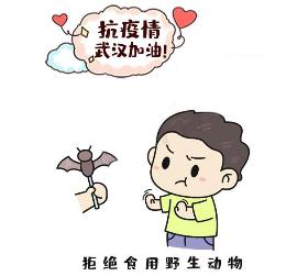 新形冠状病毒简笔画 禁食野生动物简笔画