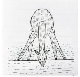 长颈鹿简笔画 Giraffa camelopardalis，是一种生长在非洲的反刍偶蹄动物