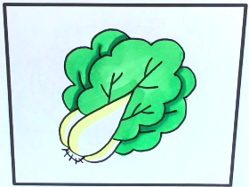 2021年好看又简单的大白菜简笔画