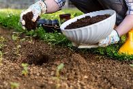 如何改善发硬的土壤